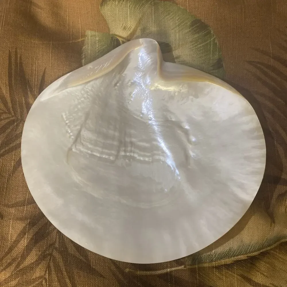 Vintage Exquisite Natural Mother of Pearl Shell Footed Caviar Serving Dish 8.5